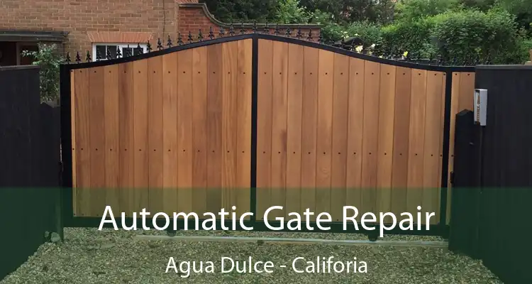 Automatic Gate Repair Agua Dulce - Califoria
