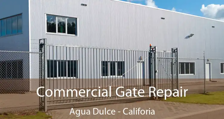 Commercial Gate Repair Agua Dulce - Califoria