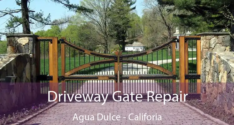 Driveway Gate Repair Agua Dulce - Califoria