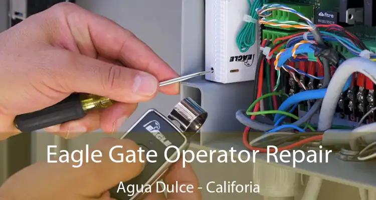 Eagle Gate Operator Repair Agua Dulce - Califoria
