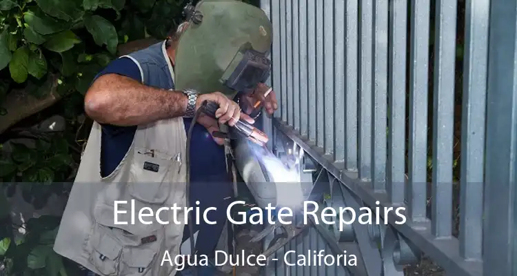 Electric Gate Repairs Agua Dulce - Califoria