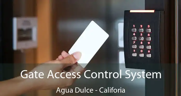 Gate Access Control System Agua Dulce - Califoria
