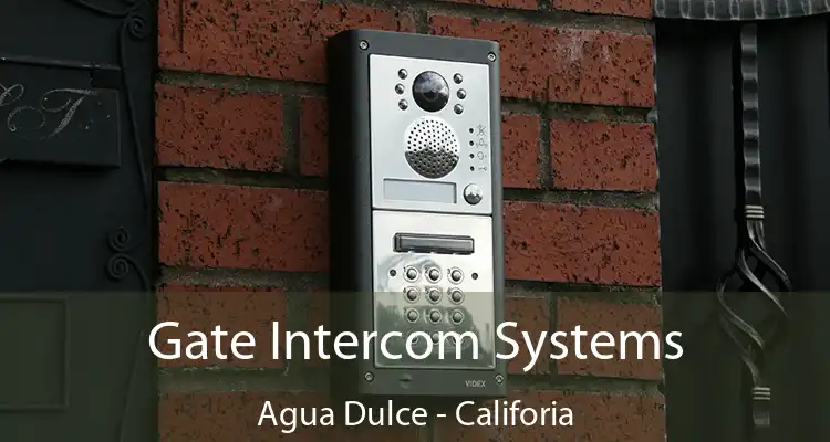 Gate Intercom Systems Agua Dulce - Califoria