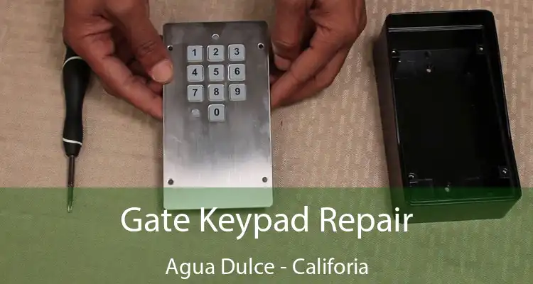 Gate Keypad Repair Agua Dulce - Califoria