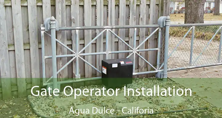 Gate Operator Installation Agua Dulce - Califoria