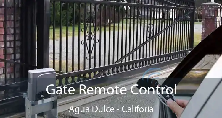 Gate Remote Control Agua Dulce - Califoria