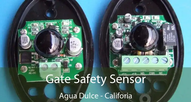Gate Safety Sensor Agua Dulce - Califoria