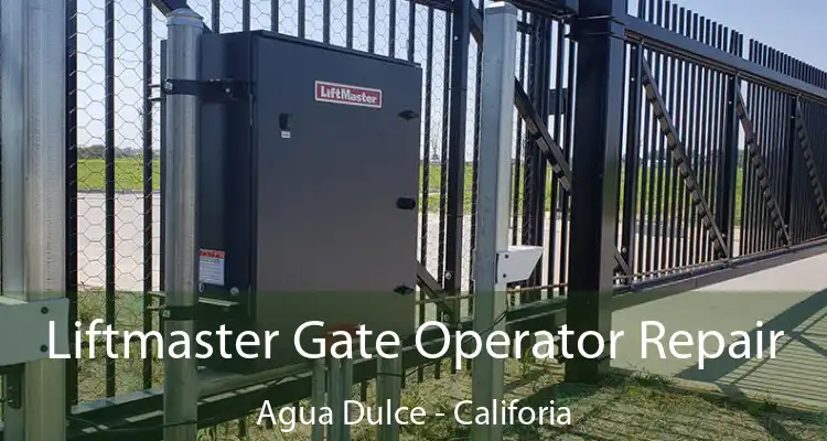 Liftmaster Gate Operator Repair Agua Dulce - Califoria