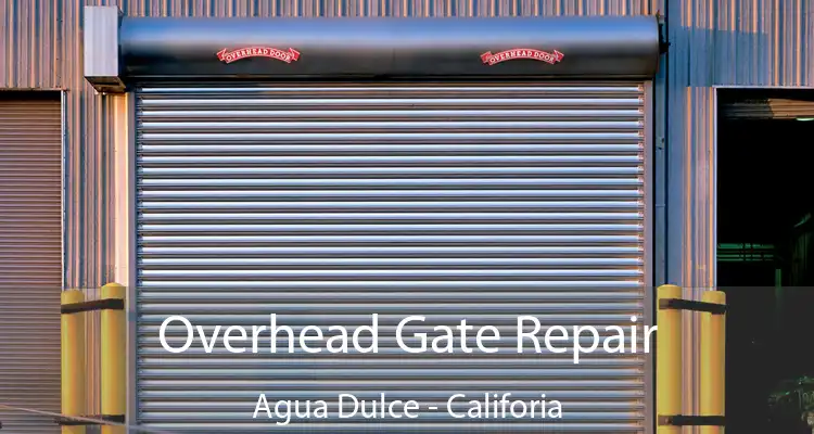 Overhead Gate Repair Agua Dulce - Califoria