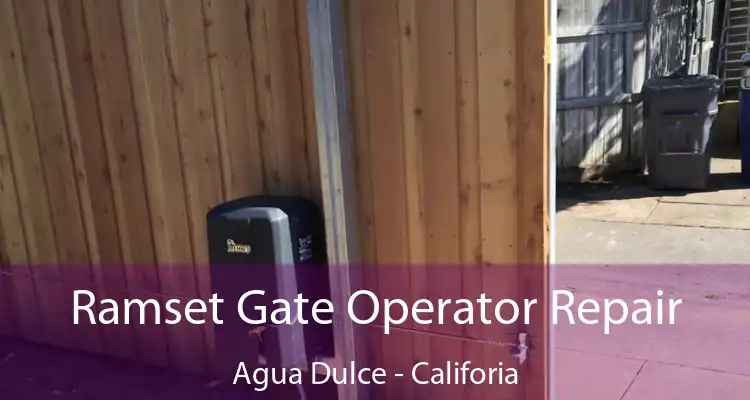 Ramset Gate Operator Repair Agua Dulce - Califoria