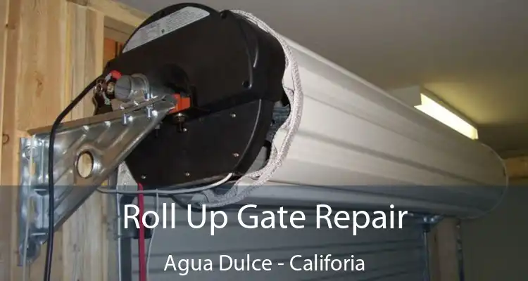 Roll Up Gate Repair Agua Dulce - Califoria